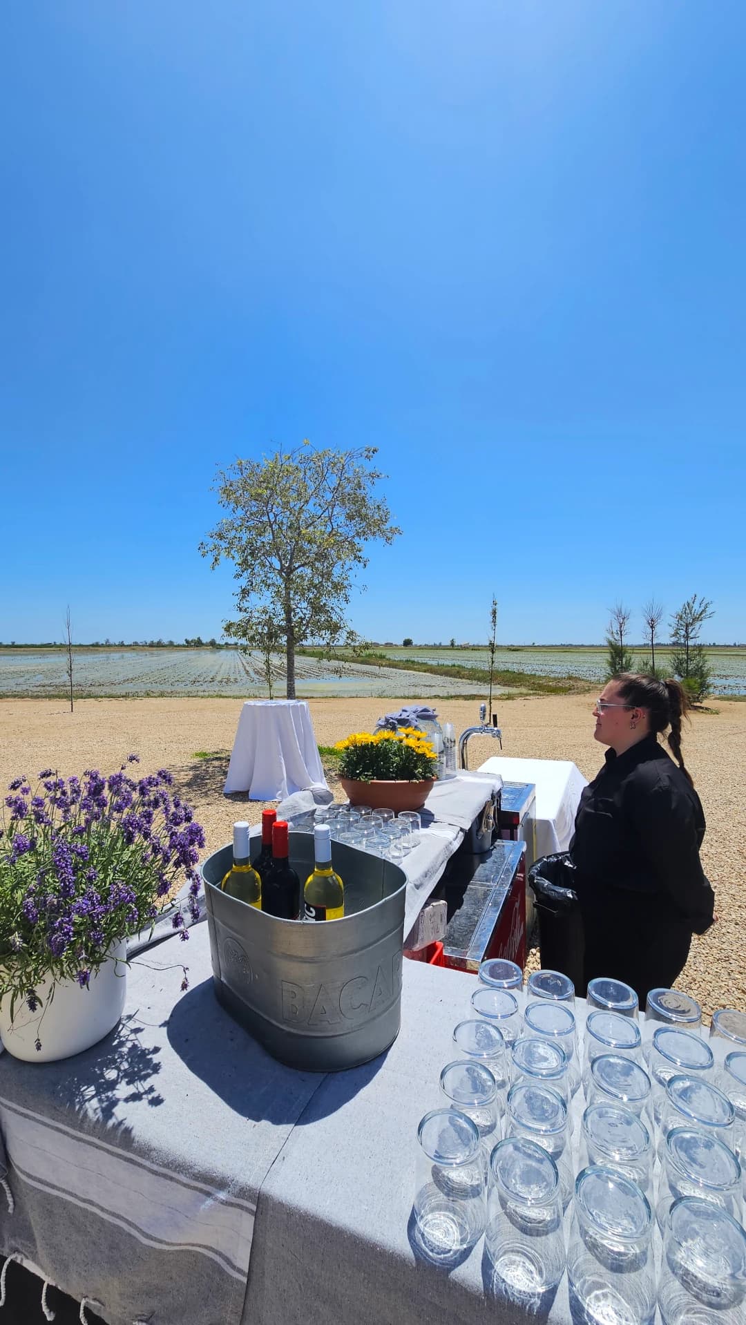 Celebracions Masos Bruguera 3