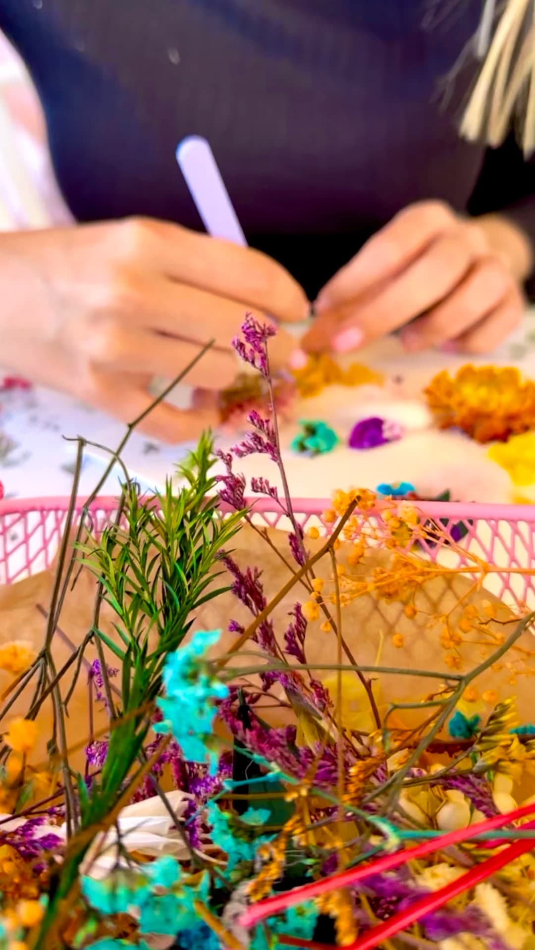 Celebracions Masos Bruguera 1