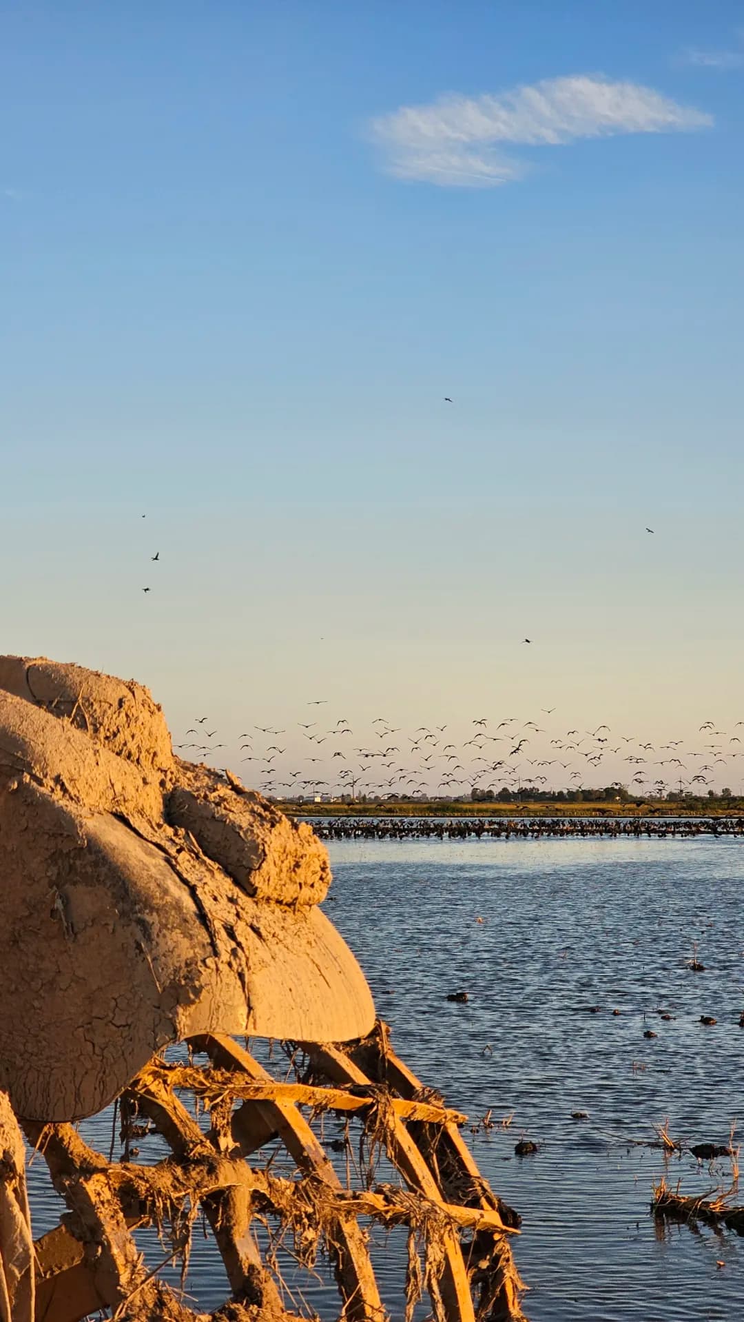 Masos Bruguera entorn 9