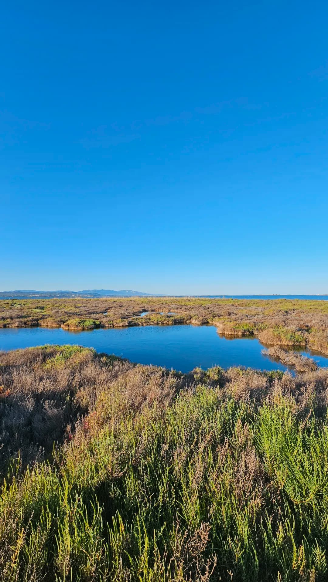 Masos Bruguera entorn 1