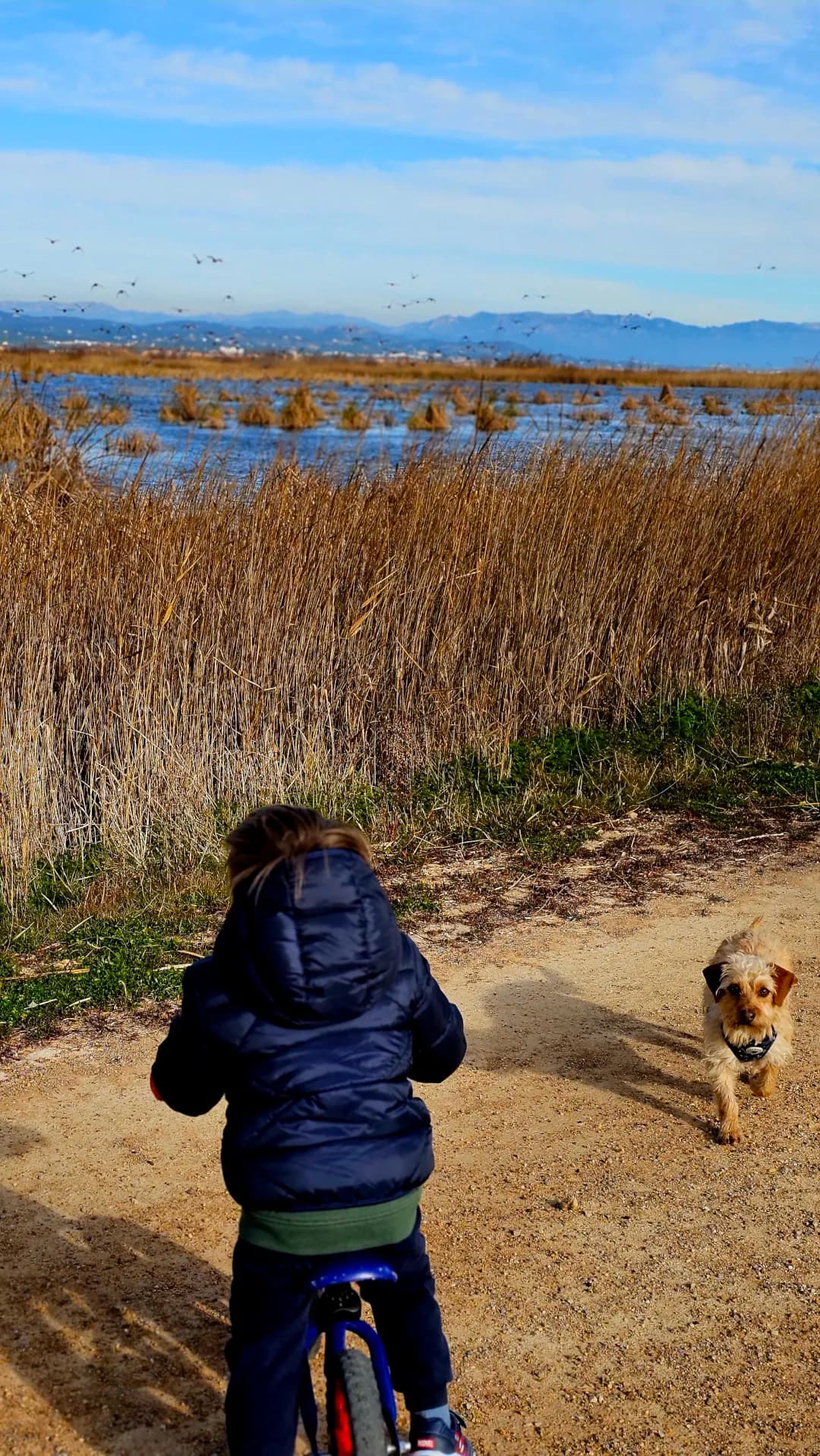 Masos Bruguera entorn 2