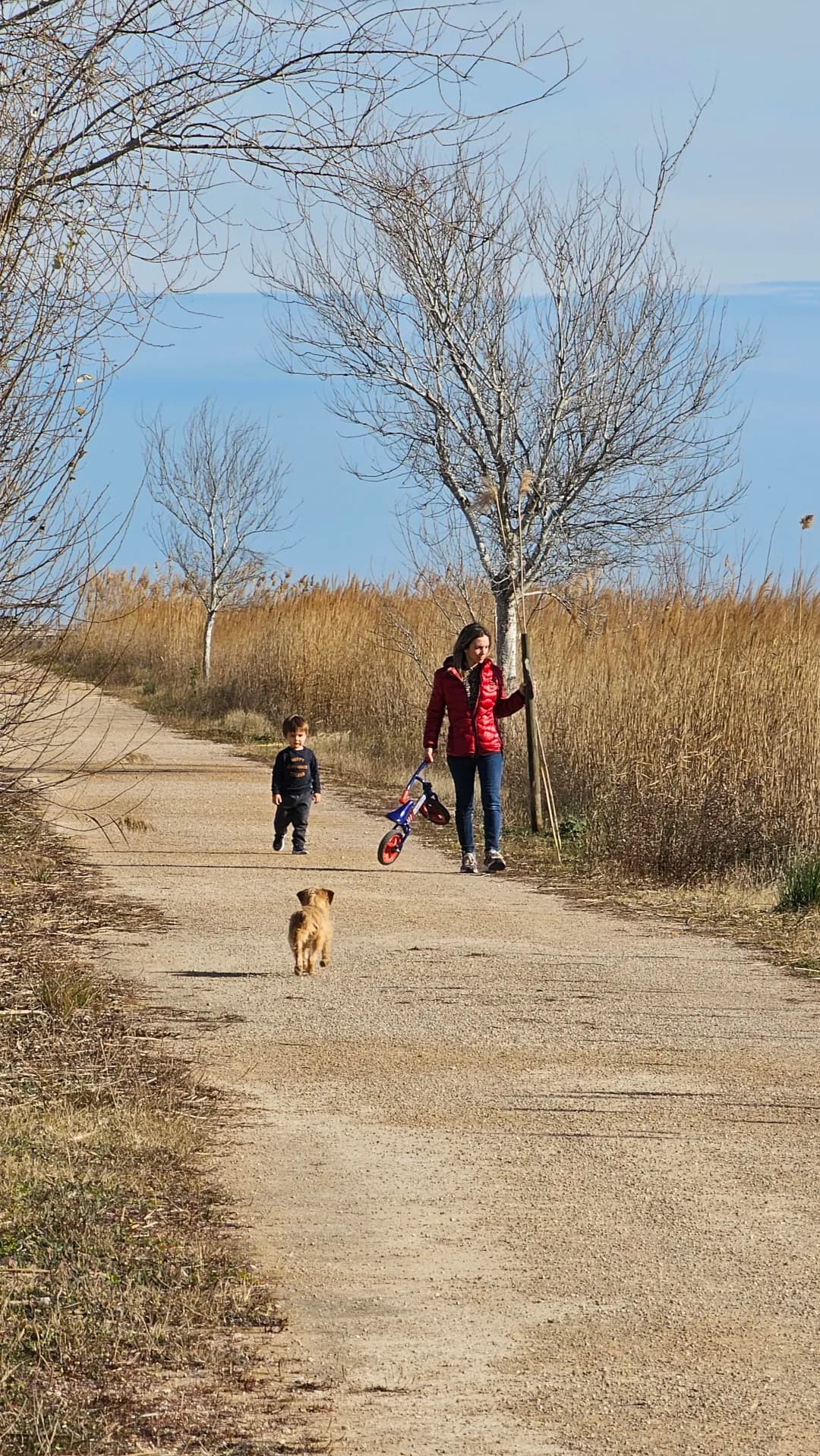 Masos Bruguera entorn 5