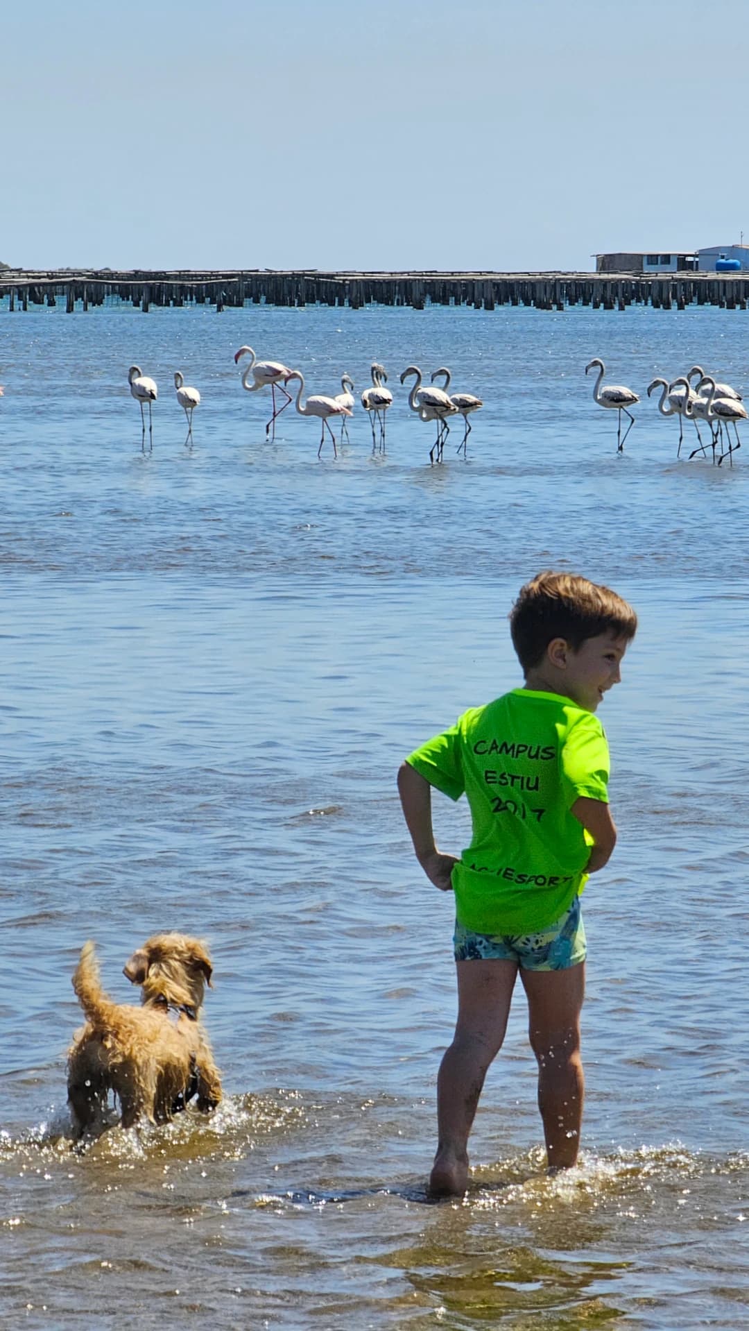 Masos Bruguera entorn 6