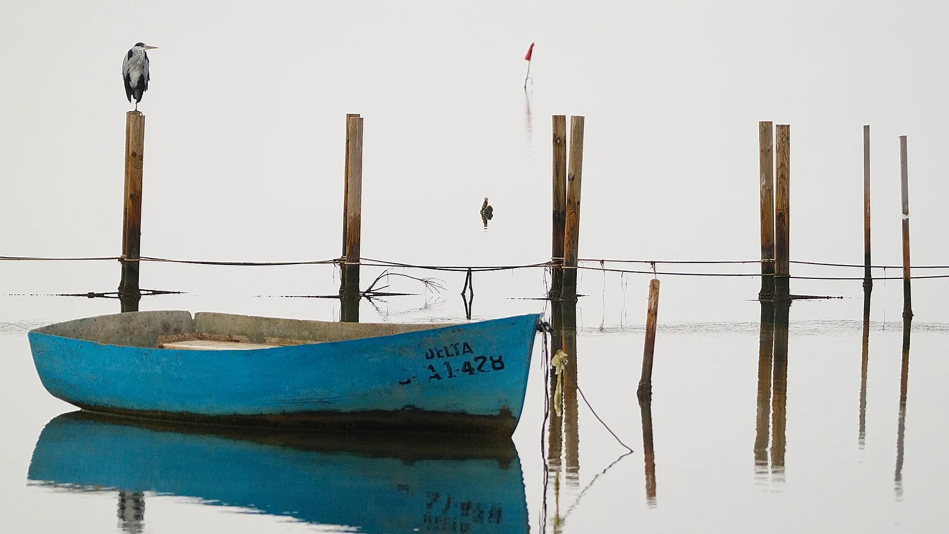 Imatges Joan Bobet 2