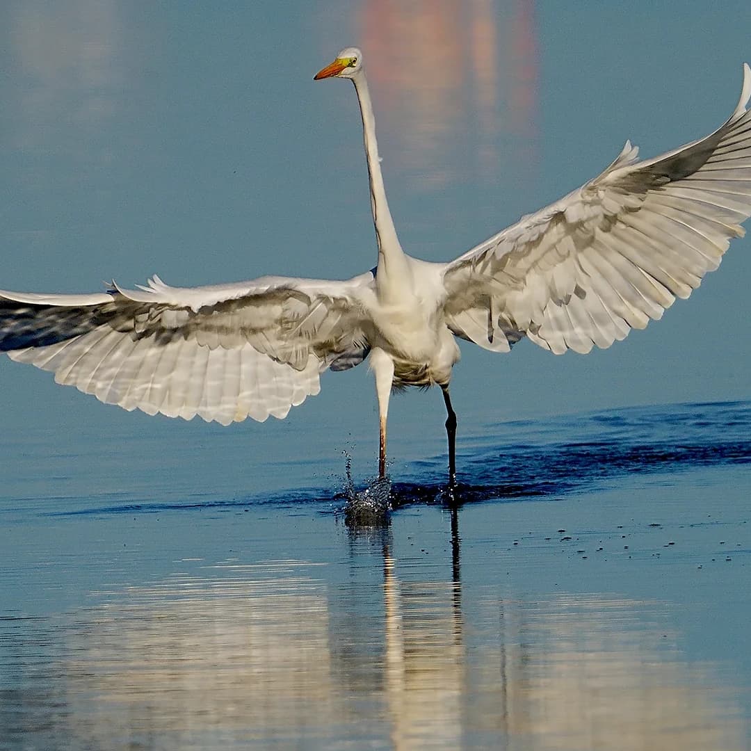 Imatges Joan Bobet 1