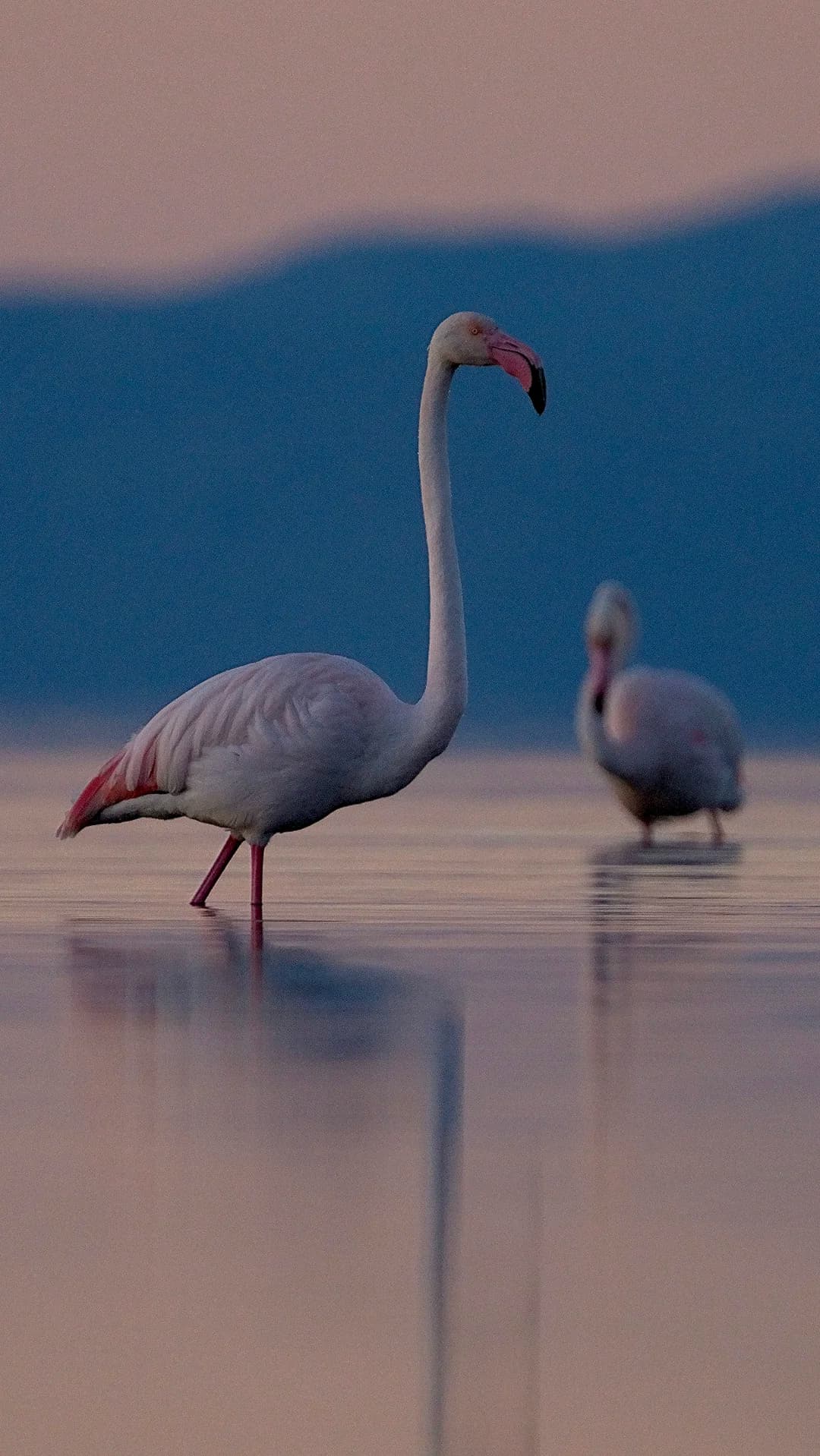 Imatges Joan Bobet 3