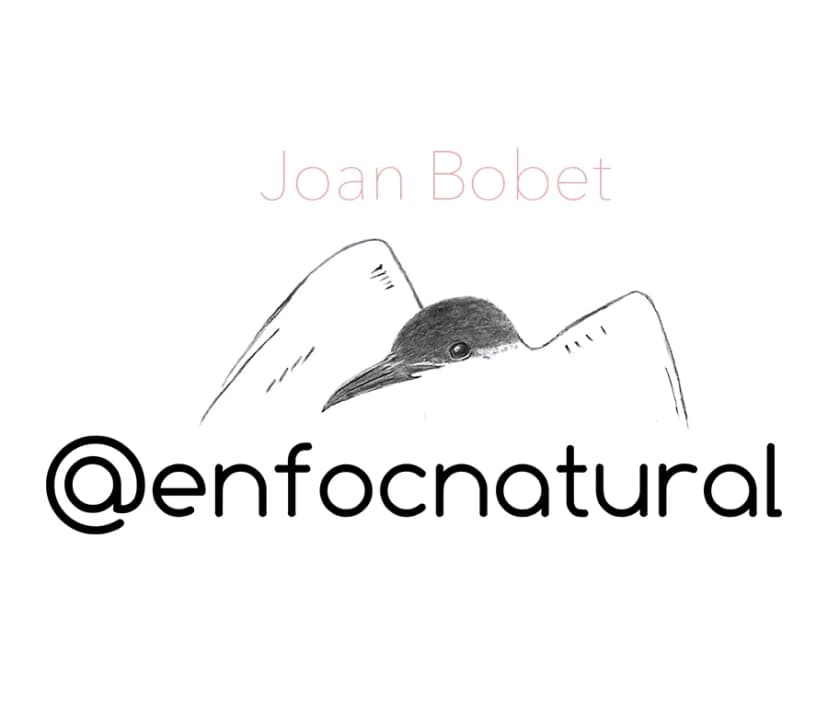Joan Bobet Enfoc Natural