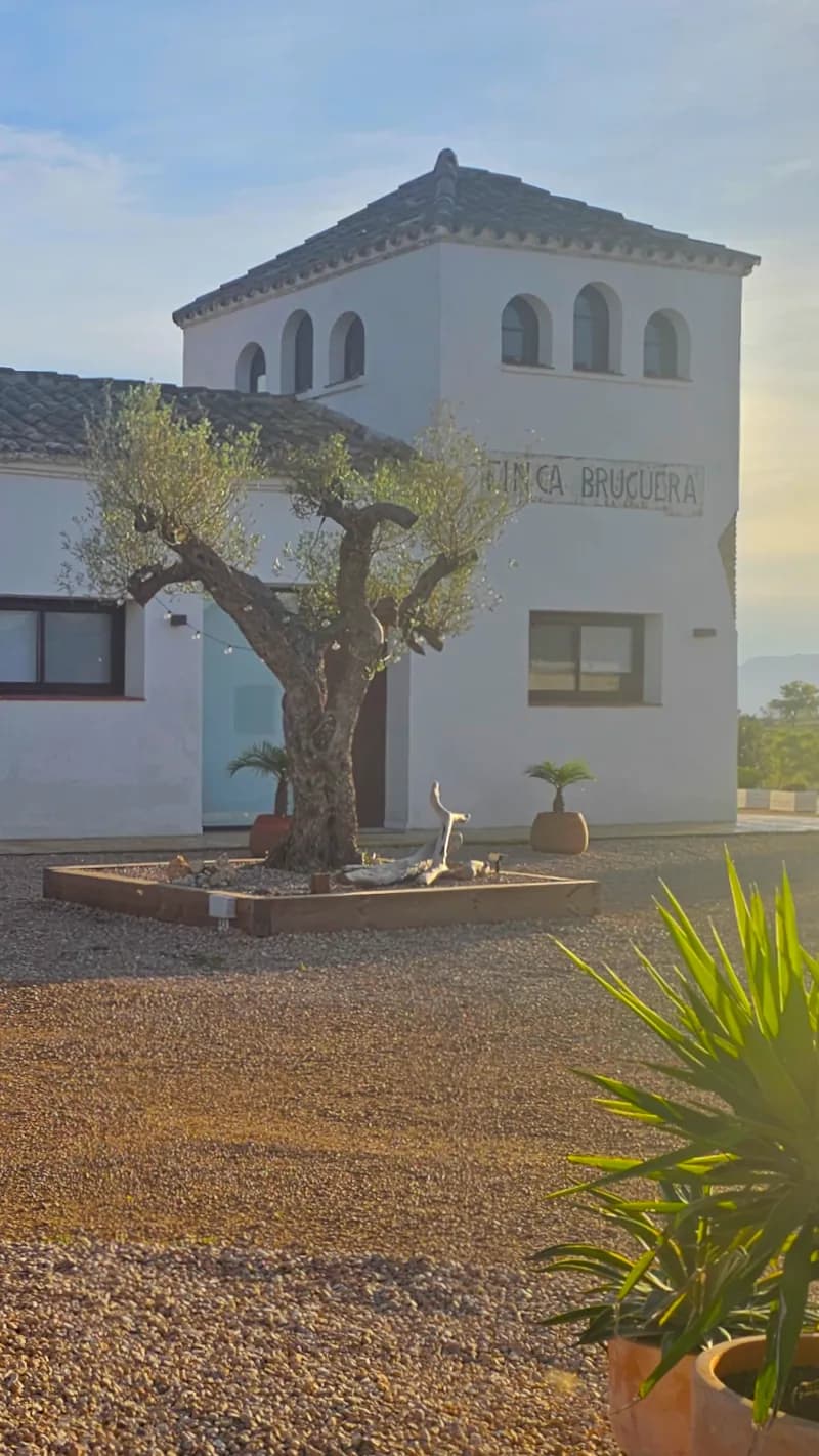 Fons immersiu Informació