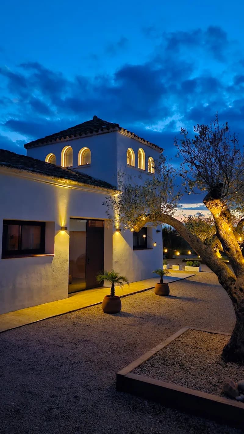 Fons immersiu La Nit